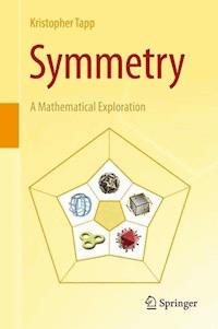 Symmetry - Kristopher Tapp - E-Book