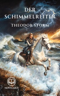 Der Schimmelreiter - Theodor Storm - E-Book + Hörbuch