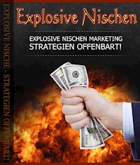 Explosive Nischen - Peter Otto - E-Book