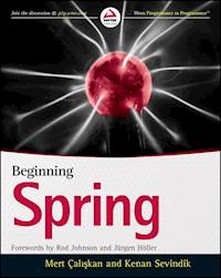 Beginning Spring - Mert Caliskan - E-Book