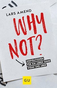 Why not? - Lars Amend - E-Book