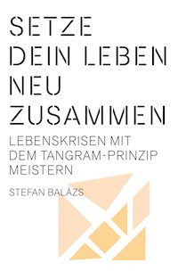 Setze dein Leben neu zusammen - Stefan Balázs - E-Book
