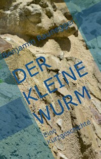 Der kleine Wurm - Benjamin Raunegger - E-Book