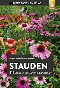 Stauden - Kaspar Heißel - E-Book
