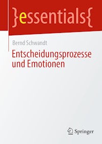 Entscheidungsprozesse und Emotionen - Bernd Schwandt - E-Book