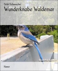 Wunderknabe Waldemar - Detlef Schumacher - kostenlos E-Book