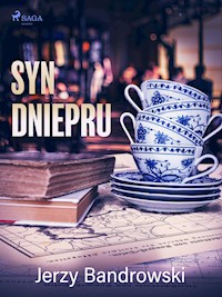Syn Dniepru - Jerzy Bandrowski - E-Book