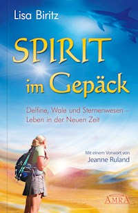 Spirit im Gepäck - Lisa Biritz - E-Book