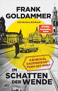 Im Schatten der Wende - Frank Goldammer - E-Book