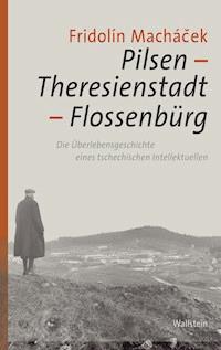 Pilsen – Theresienstadt – Flossenbürg - Fridolín Macháček - E-Book