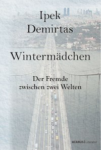 Wintermädchen. Der Fremde zwischen zwei Welten - Ipek Demirtas - E-Book