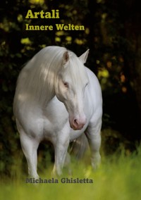 Artali - Michaela Ghisletta - E-Book