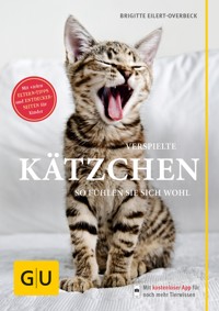 Verspielte Kätzchen - Brigitte Eilert-Overbeck - E-Book