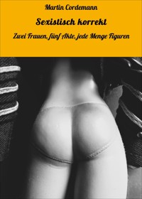 Sexistisch korrekt - Martin Cordemann - E-Book