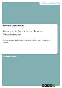Wasser – ein Menschenrecht oder Wirtschaftsgut? - Rachela Castanheira - E-Book