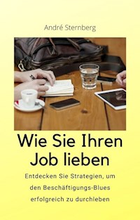 Wie Sie Ihren Job lieben - Andre Sternberg - E-Book