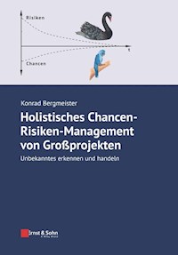 Holistisches Chancen-Risiken-Management von Großprojekten - Konrad Bergmeister - E-Book