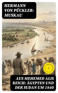 Aus Mehemed Alis Reich: Ägypten und der Sudan um 1840 - Hermann von Pückler-Muskau - E-Book