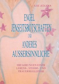 Engel Jenseitsbotschaften und anderes Außersinnliche - Ilse Jedlicka - E-Book
