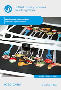 Fases y procesos en artes gráficas. ARGI0209 - Álvaro Torres Rojas - E-Book
