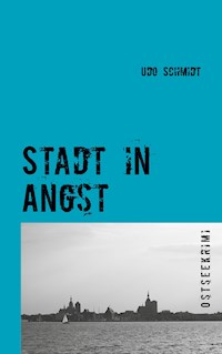 Stadt in Angst - Udo Schmidt - E-Book