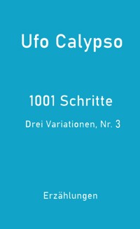 1001 Schritte - Drei Variationen, Nr. 3 - Ufo Calypso - E-Book