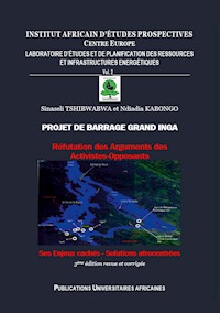 PROJET DE BARRAGE GRAND INGA - Sinaseli Tshibwabwa - E-Book