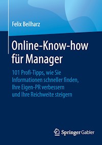 Online-Know-how für Manager - Felix Beilharz - E-Book