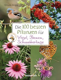 Die 100 besten Pflanzen für Vögel, Bienen, Schmetterlinge - Ursula Kopp - E-Book