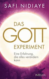 Das Gott-Experiment - Safi Nidiaye - E-Book