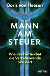 Mann am Steuer - Boris von Heesen - E-Book