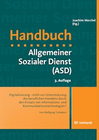 Digitalisierung - nicht nur Unterstützung des beruflichen Handelns durch den Einsatz von Informations- und Kommunikationstechnilogien? - Wolfgang Tenhaken - E-Book