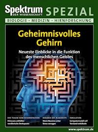 Geheimnisvolles Gehirn -  - E-Book
