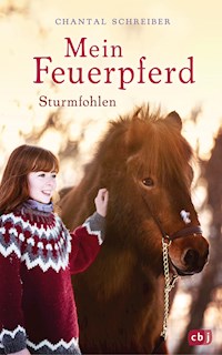 Mein Feuerpferd - Sturmfohlen - Chantal Schreiber - E-Book