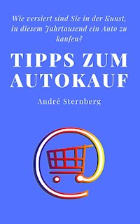 Tipps zum Autokauf - Andre Sternberg - E-Book