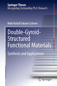 Double-Gyroid-Structured Functional Materials - Maik Rudolf Johann Scherer - E-Book