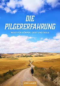Die Pilgererfahrung - Uwe Lauer - E-Book