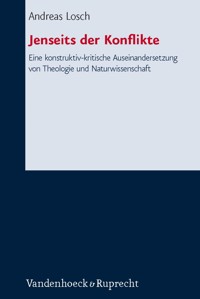 Jenseits der Konflikte - Andreas Losch - E-Book