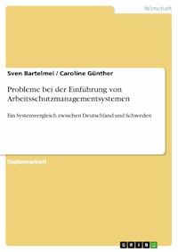 Probleme bei der Einführung von Arbeitsschutzmanagementsystemen - Sven Bartelmei - E-Book