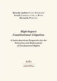 High-Impact Constitutional Litigation - Ricardo Andrés Cano Andrade - E-Book