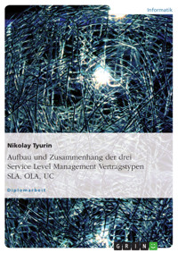 Aufbau und Zusammenhang der drei Service Level Management Vertragstypen SLA, OLA, UC - Nikolay Tyurin - E-Book