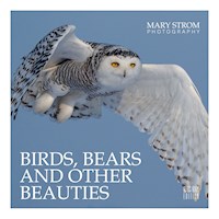 Birds, Bears and other Beauties - Mary Strom - E-Book