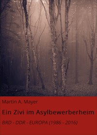 Ein Zivi im Asylbewerberheim - Martin A. Mayer - E-Book