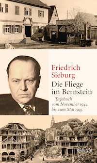 Die Fliege im Bernstein - Friedrich Sieburg - E-Book