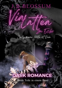 Via Lattea im Echo - j.b. blossum - E-Book