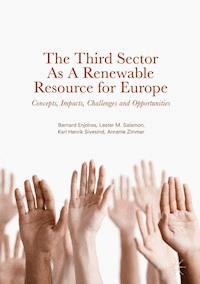 The Third Sector as a Renewable Resource for Europe - Bernard Enjolras - kostenlos E-Book