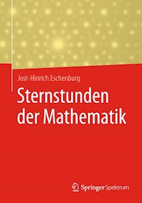 Sternstunden der Mathematik - Jost-Hinrich Eschenburg - E-Book