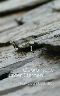 Quarantäne unter Sternen - Volker Friebel - E-Book