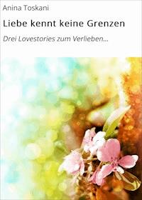 Liebe kennt keine Grenzen - Anina Toskani - E-Book