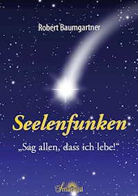 Seelenfunken - Robert Baumgartner - E-Book